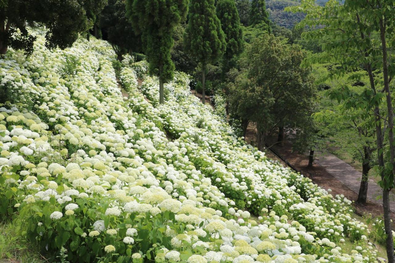Kobe Hotel Fruit Flower Εξωτερικό φωτογραφία